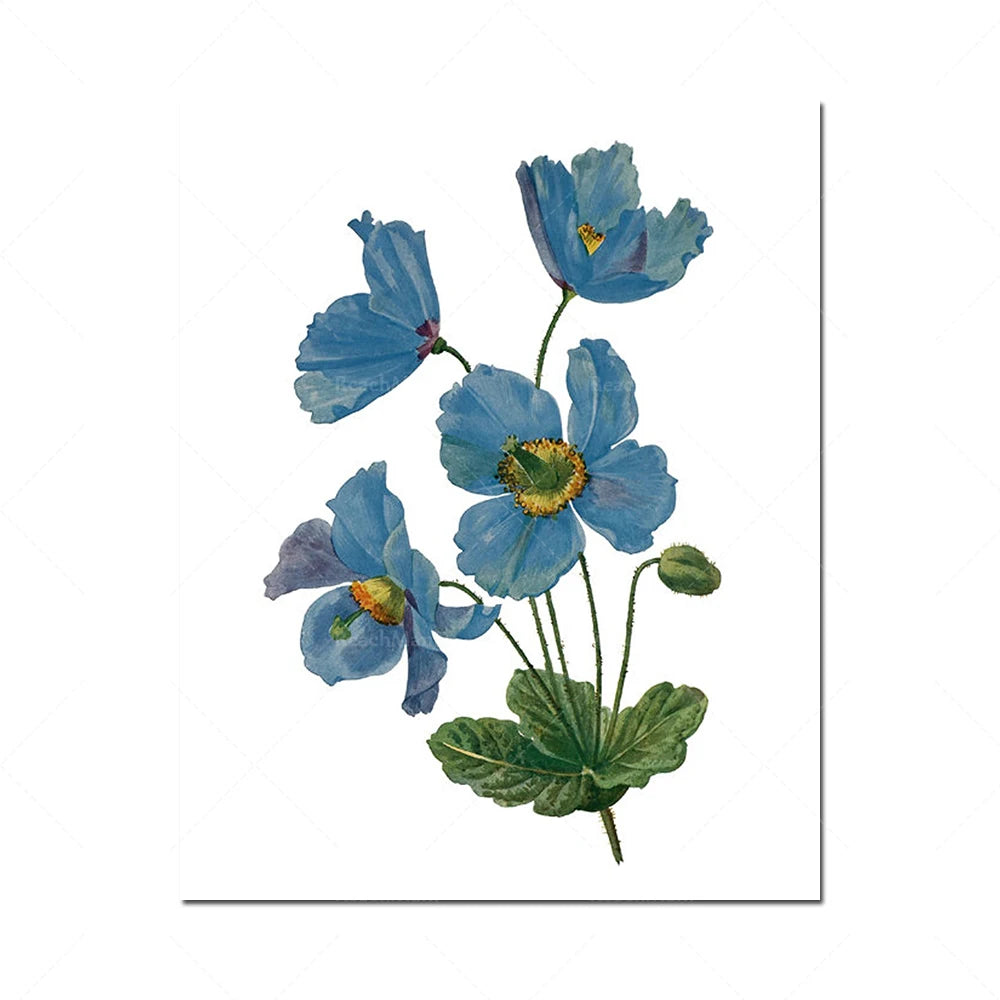 Bouquet de fleurs de pavot bleu avec des feuilles vertes sur fond blanc.