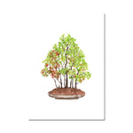 Arbre de bonsaï aux feuilles vertes et rousses sur une soucoupe en terre cuite, illustration aquarelle.