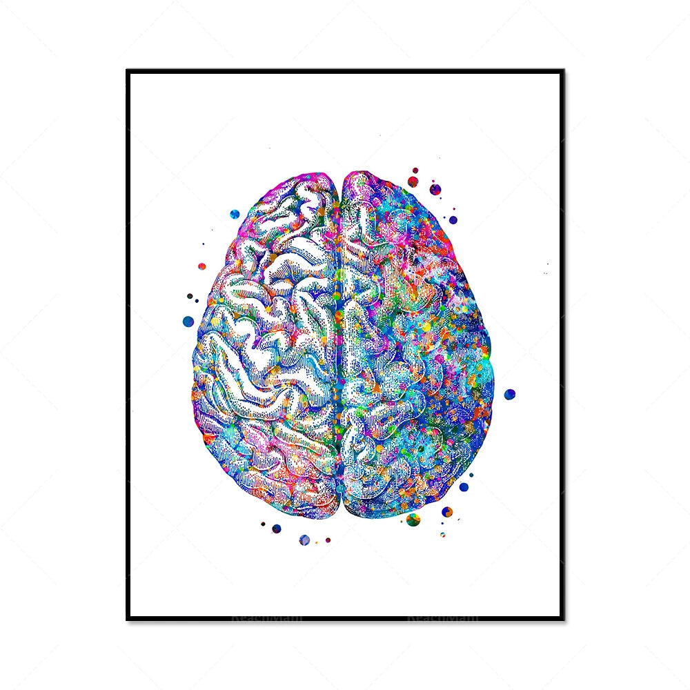 Le cerveau humain, représenté de manière colorée et détaillée, symbolise la complexité et la diversité de cet organe essentiel.