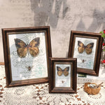 Cadre photo vintage rectangulaire résine marron foncé vert blanc papillon oiseau texte ancien décoration