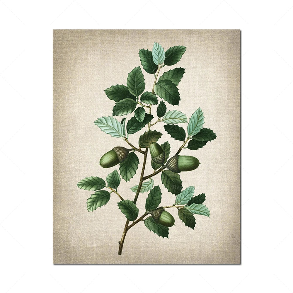 L'image représente une branche d'arbre avec des feuilles vertes et des glands verts sur un fond beige, offrant une vue détaillée et réaliste de cette partie de la plante.