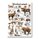 Ce poster illustre une collection d'animaux que l'on peut trouver dans les forêts, comme le renard, le cerf, l'élan, le raton laveur, l'ours et le loup.