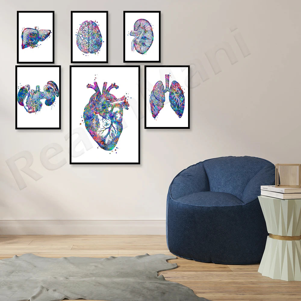 Affiches murales de style artistique présentant des organes anatomiques en couleurs vives, ornant le mur au-dessus d'un fauteuil confortable dans un intérieur chaleureux.