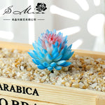 plantes succulentes artificielles vert rose violet bleu orange décoration jardin feuilles pointues réalistesextérieur exposition