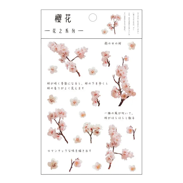 fleurs séchées décoratives naturelles adhésives transparentes variées sacs enfants papeterie mignonne