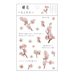 fleurs séchées décoratives naturelles adhésives transparentes variées sacs enfants papeterie mignonne
