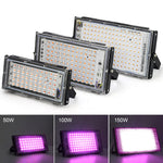 lampe led croissance végétale 100w 150w 50w spectre complet 180deg réglable clips aluminium moderne