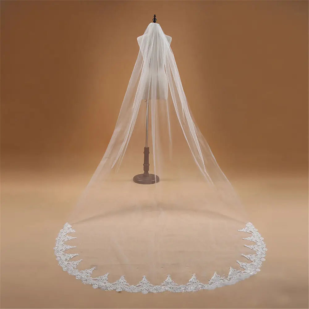 voile mariée femme blanc dentelle motifs floraux clips élégant classique monocouche translucide