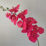décoration intérieure orchidées artificielles blanc rose jaune feuilles vertes minimaliste mariage anniversaire baby shower