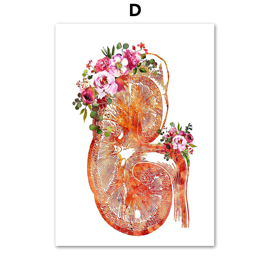 Cette image représente une illustration florale et anatomique stylisée d'un organe interne humain, probablement un rein.