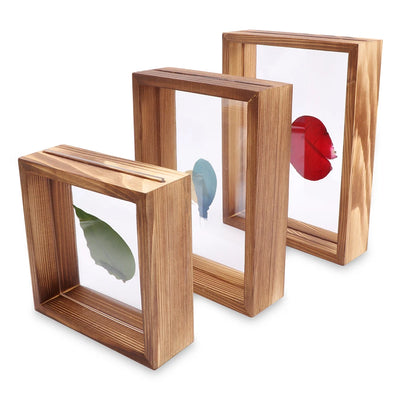 Cadre photo vintage en bois avec support plantes pour décoration murale