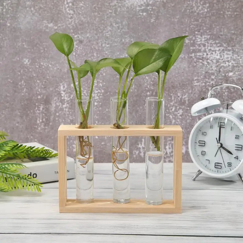 vase transparent bois moderne support table decoration hydroponics plant bonsai fleurs pots suspendus
