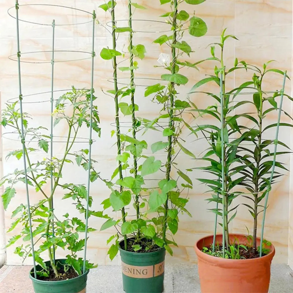 supports plantes grimpantes treillis jardin vert métallique durable clipsage tomates haricots 60cm 45cm