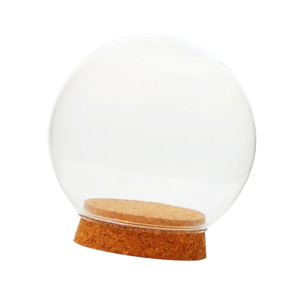 boule verre moderne transparente vase table couvercle liège maison arborée plante succulente miniature arrangement