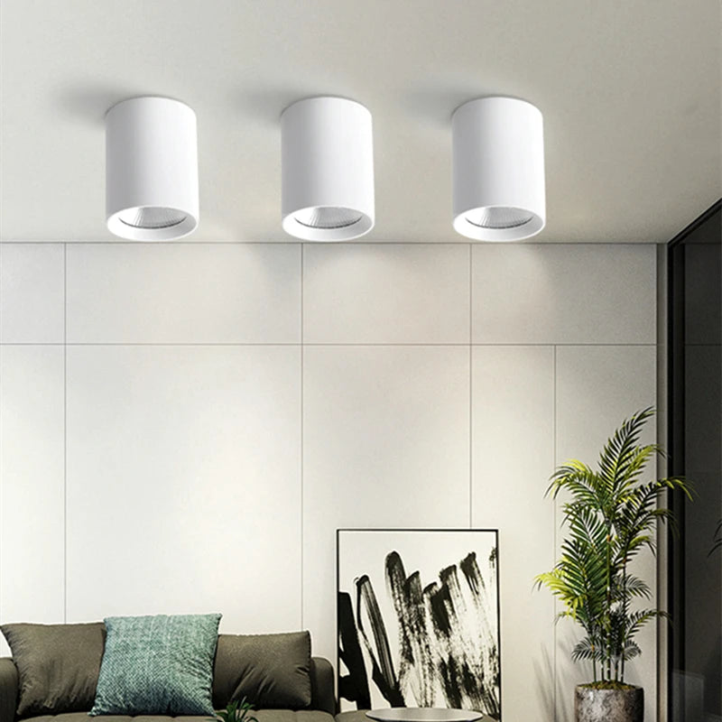Spot lumineux moderne surface mounted noir blanc 10W 15W 25W 35W LED anti reflet