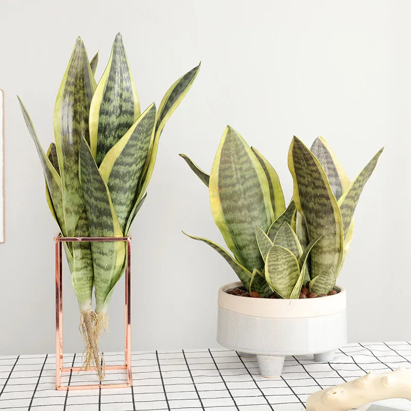 plante artificielle sansevieria feuilles vertes rayées pot décoration intérieur moderne tropical