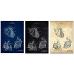 Ces illustrations anatomiques détaillées du cœur humain présentent une perspective médicale innovante, offrant un aperçu fascinant de la structure complexe de cet organe vital.