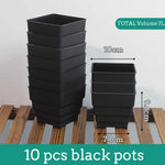 Pots succulentes blancs moderne rainures verticales drainage aération 10cm 12cm 15cm
