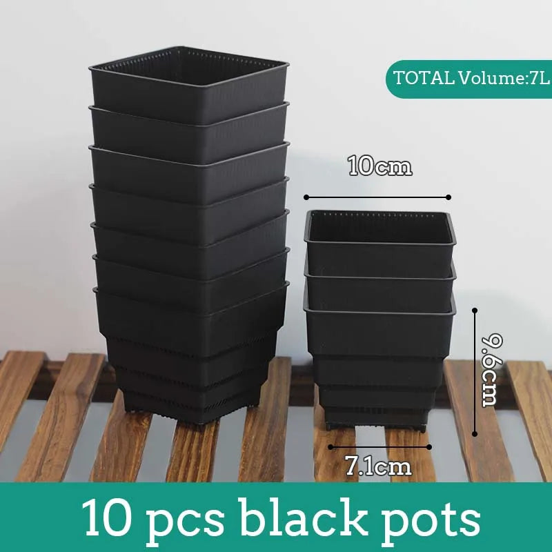 Pots succulentes blancs moderne rainures verticales drainage aération 10cm 12cm 15cm