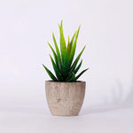 plantes succulentes artificielles vertes modernes mini bonsaï décoration maison feuilles pointues arrondies pot céramique
