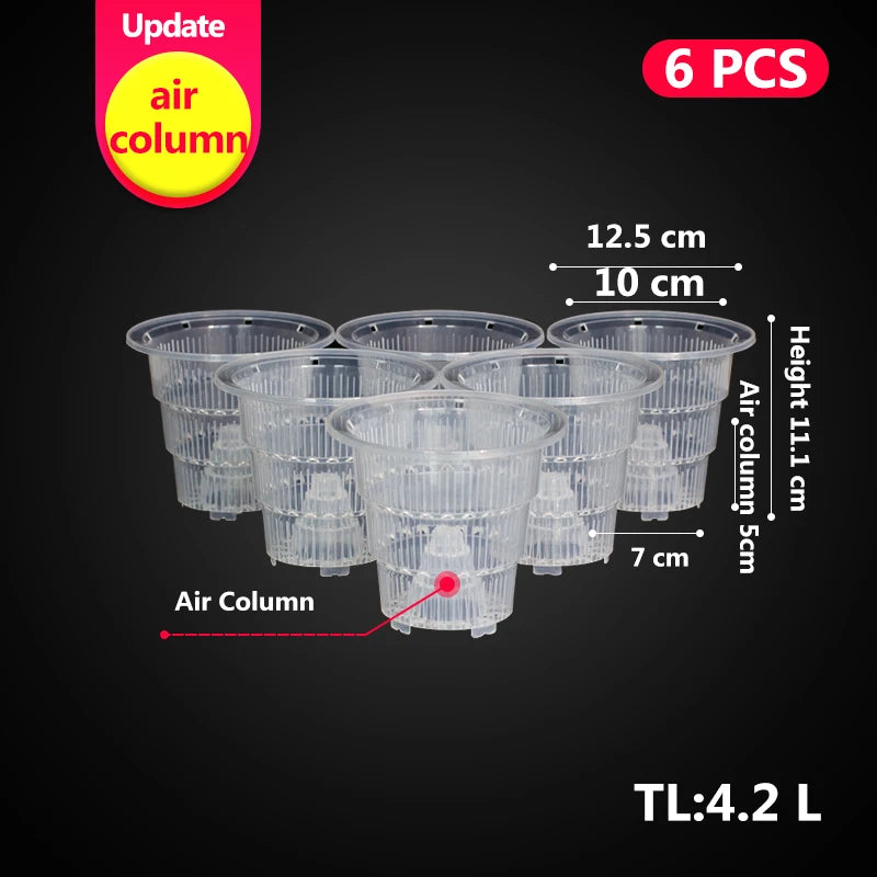 Pots plante transparents modernes perforés drainants 10cm fleur verteintérieur