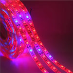 ruban led culture plantes 10m rouge bleu full spectrum adhésif moderne led phyto adaptable