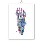 Illustration détaillée et colorée du squelette du pied humain avec des effets visuels abstraits.