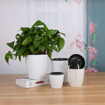 pots plantes modernes blancs lisses drainage absorbant coton grilles tailles xl xxl
