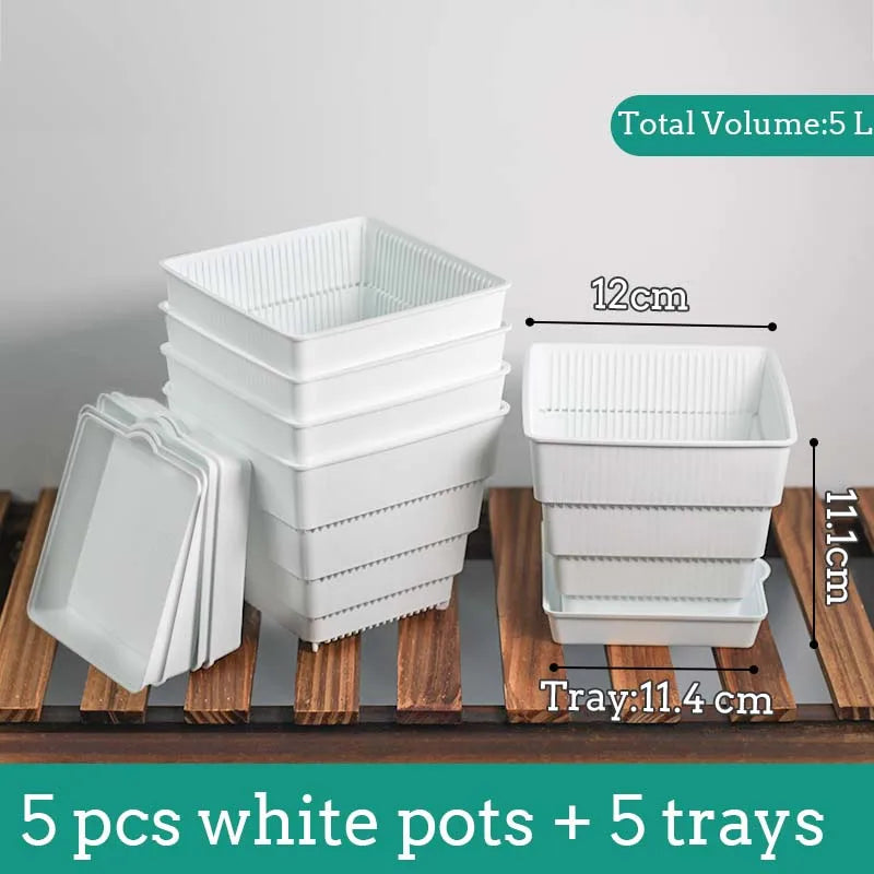 Pots succulentes blancs moderne rainures verticales drainage aération 10cm 12cm 15cm