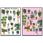 Une image colorée et détaillée présentant de nombreuses variétés de plantes d'intérieur dans des pots décoratifs, offrant des informations utiles sur leur identification et leurs caractéristiques.