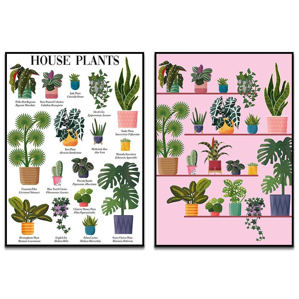 Une image colorée et détaillée présentant de nombreuses variétés de plantes d'intérieur dans des pots décoratifs, offrant des informations utiles sur leur identification et leurs caractéristiques.