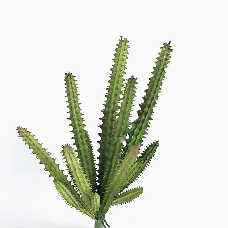 décoration maison plante artificielle cactus épineux vert rouge succulente exotique salonextérieur
