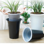 cache pot moderne cattleya phalaenopsis blanc noir air pruning racines controle drainage