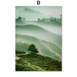 Magnifique paysage de collines verdoyantes recouvertes de brouillard, avec un arbre solitaire se détachant sur le côté.