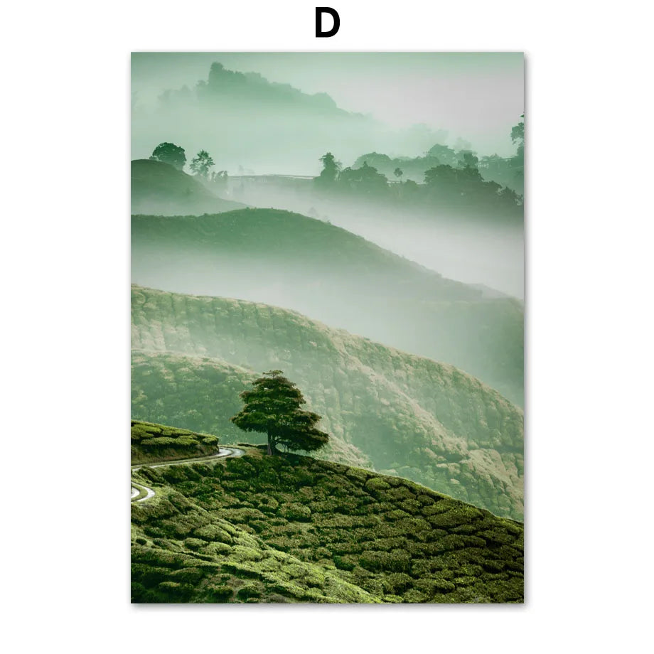 Magnifique paysage de collines verdoyantes recouvertes de brouillard, avec un arbre solitaire se détachant sur le côté.