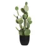 plantes artificielles vertes points dorés moderne décoration extérieure pot noir arrangement fleuri cactus succulente