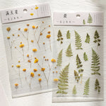 fleurs séchées décoratives naturelles adhésives transparentes variées sacs enfants papeterie mignonne