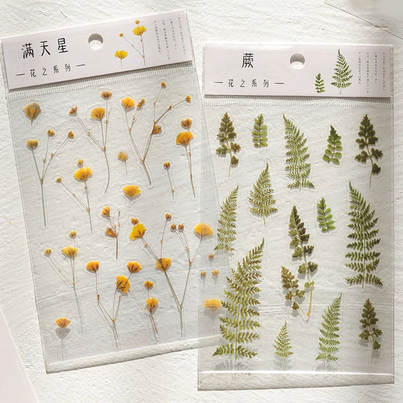 fleurs séchées décoratives naturelles adhésives transparentes variées sacs enfants papeterie mignonne
