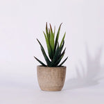 plantes succulentes artificielles vertes modernes mini bonsaï décoration maison feuilles pointues arrondies pot céramique