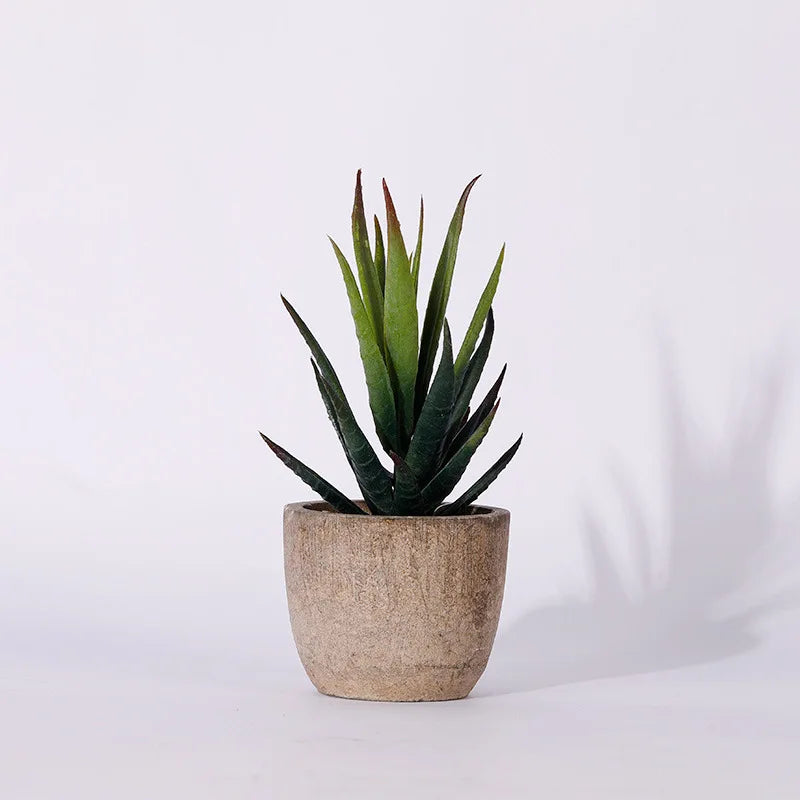 plantes succulentes artificielles vertes modernes mini bonsaï décoration maison feuilles pointues arrondies pot céramique