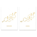 Deux affiches présentant les formules moléculaires de la testostérone et de l'œstrogène, avec des motifs dorés sur fond blanc.