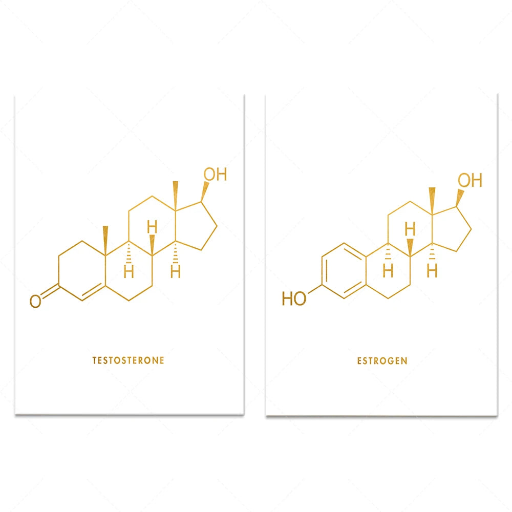 Deux affiches présentant les formules moléculaires de la testostérone et de l'œstrogène, avec des motifs dorés sur fond blanc.