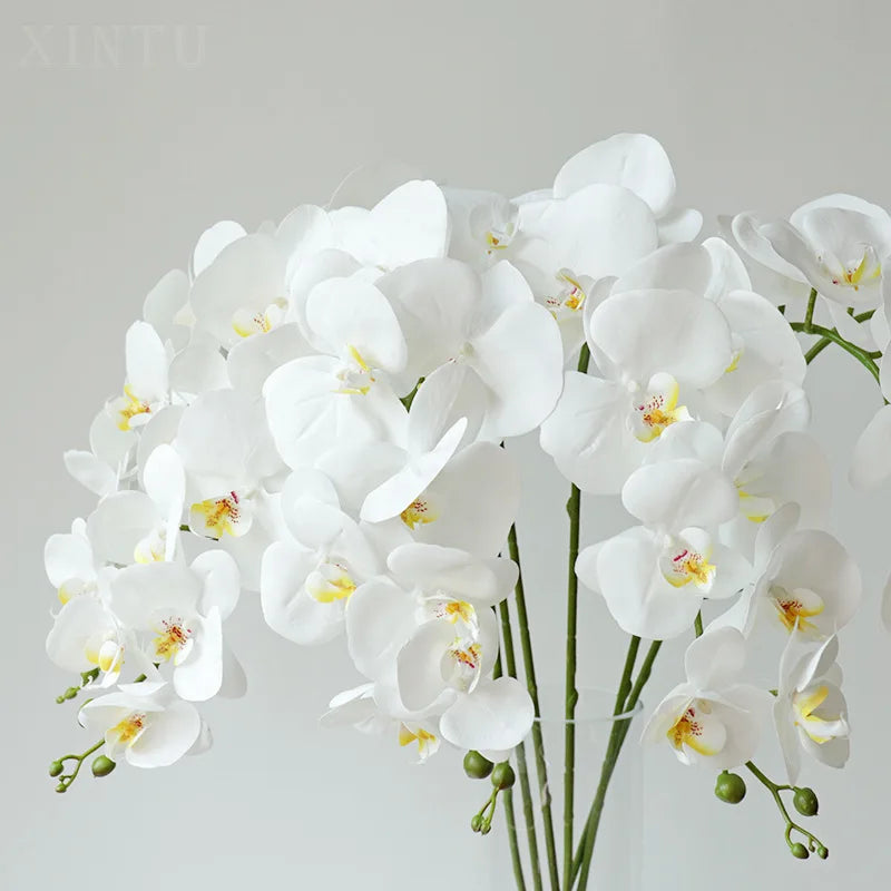 décoration intérieure orchidées artificielles blanc rose jaune feuilles vertes minimaliste mariage anniversaire baby shower