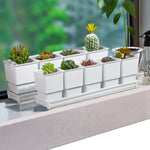 pots succulentes blancs moderne drainage ridge verticale pots différents tailles plateau