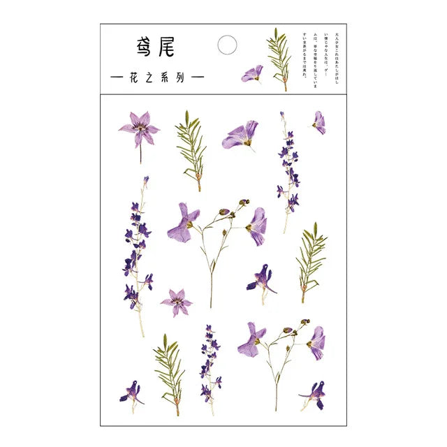 fleurs séchées décoratives naturelles adhésives transparentes variées sacs enfants papeterie mignonne