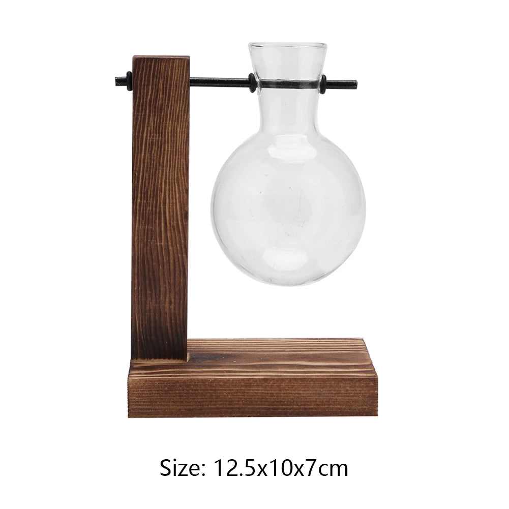 vase transparent bois moderne support table decoration hydroponics plant bonsai fleurs pots suspendus
