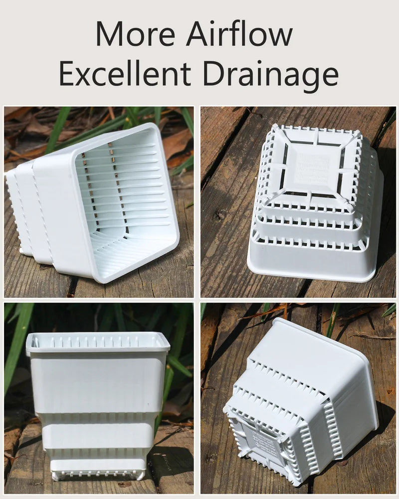 pots plastique blanc succulentes racines contrôle moderne perforations verticales jardin
