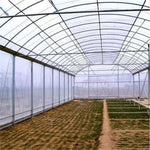 film plastique transparent protection jardin 10m 15m 20m 2m 30m 4m 6m 8m simple