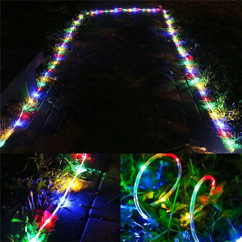 Détail des ampoules LED de la guirlande avec câble transparent