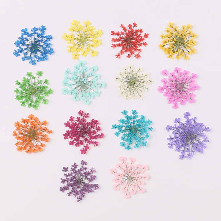 fleurs séchées naturelles multicolores décoration maison anniversaire mariage baby shower